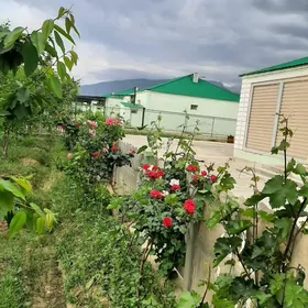 Gokdepe Hurmantgokje plan jay