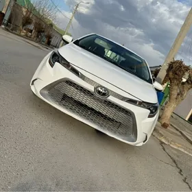 Toyota Corolla 2021