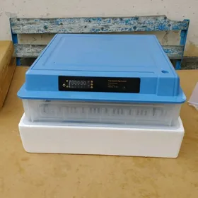 Inkubator 200 yumurtga