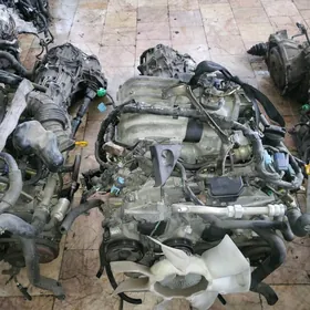 Pathfinder 3.5 motor arassa