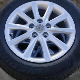 okuz kelle diska ARGINAL