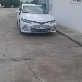Toyota Camry 2021