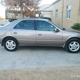 15 lik diska masyn dal diska