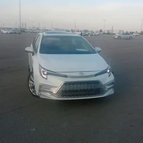 Toyota Corolla 2024