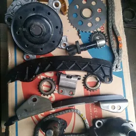 carolla mator zapcas