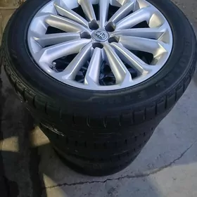 17 Karolla Argynal Disga Teker