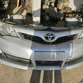 PALTA CAMRY KELTE MORDASY