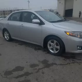 Toyota Corolla 2011