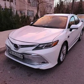 Toyota Camry 2019