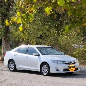 Toyota Camry 2013