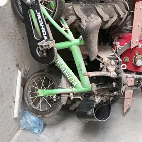 Tigir ikisi bile 300