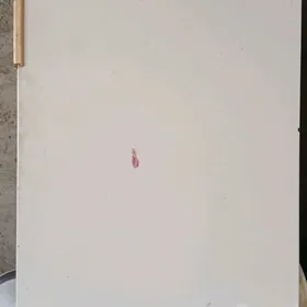 Holodilnik hemde kir masyn