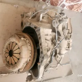 Karopka karolla 02-07