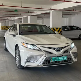 Toyota Camry 2019