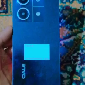 OALE NOTE 13PRO
