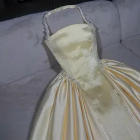 Вечерний койнек