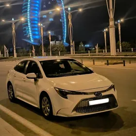 Toyota Corolla 2021