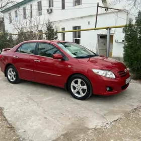 Toyota Corolla 2010