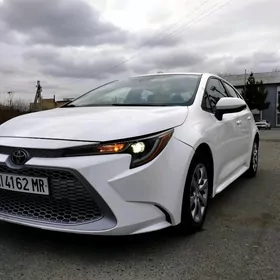 Toyota Corolla 2021