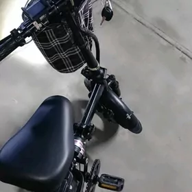 Skuter tigir gornüs