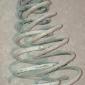 Пружин,Самсик кемри,Prujin