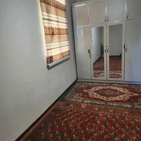 Buzmeyin kruk arenda