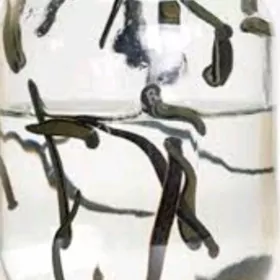 sùlùk (пиявка)