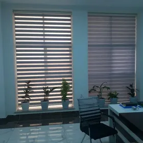 źalyuzlar zalyuz jalyuz жалюзи