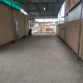 Arenda jay Saglyk daca