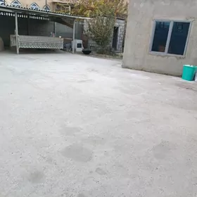 pekarnyý arenda berilyar