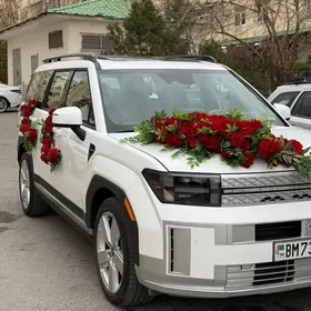 Hyundai Santa Fe 2024