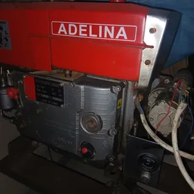 ADELINA.200 nosos