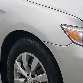 16.lyk diska we kalpak