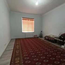 GURTLY 2 ETZ 2 KOMYT GOS BET