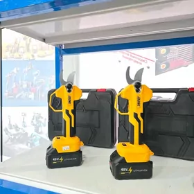 BATAREŸLI ŰZŰM GAŸÇY TÄZE