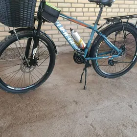 Велсапет спартивни