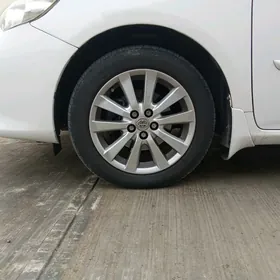 karolla disga argnal 16 lik 1s