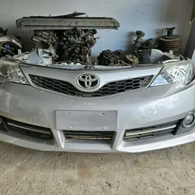 PALTA CAMRY KELTE MORDA