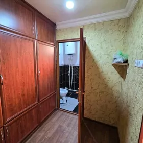 Jay satlyk 206 trassa tarap