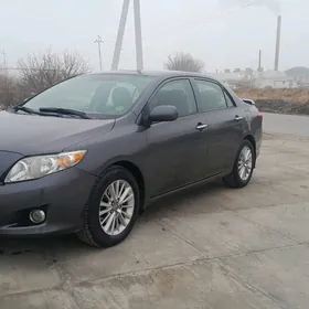 Toyota Corolla 2010