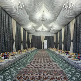 Toy hyzmatlary Palata palatka