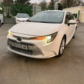 Toyota Corolla 2020