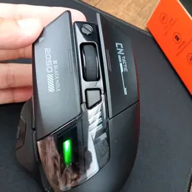 Мышка ( Syçanjyk)