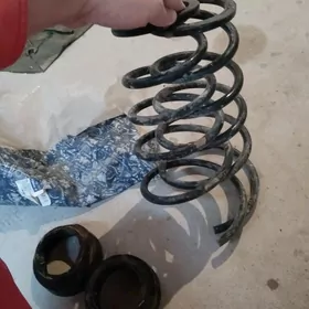 Purzhyn Duty kemry (Camry)