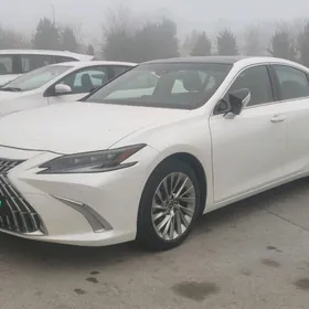 Lexus ES 350 2023