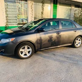 Toyota Corolla 2009