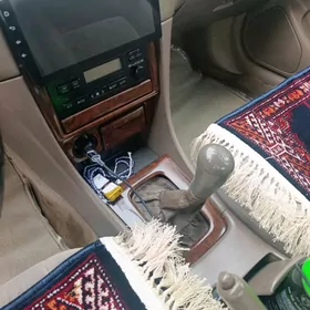 бабычка каропка