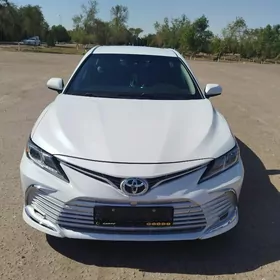 Toyota Camry 2019