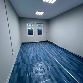 Anew Hususy ofis podwal