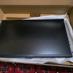 Philips evnia 2k 210hz monitor